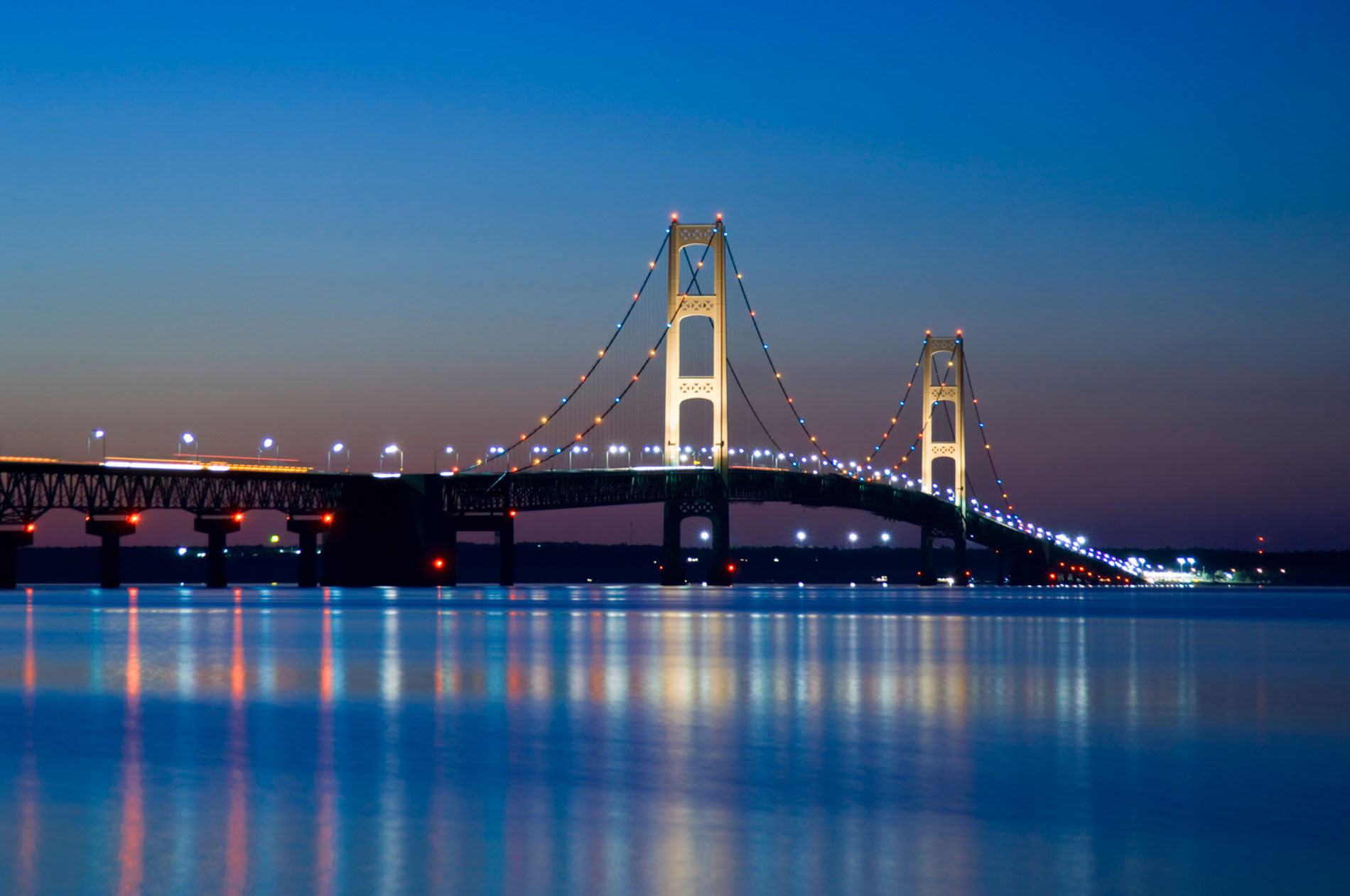 Michigan Initiatives For Action volunteer involvement