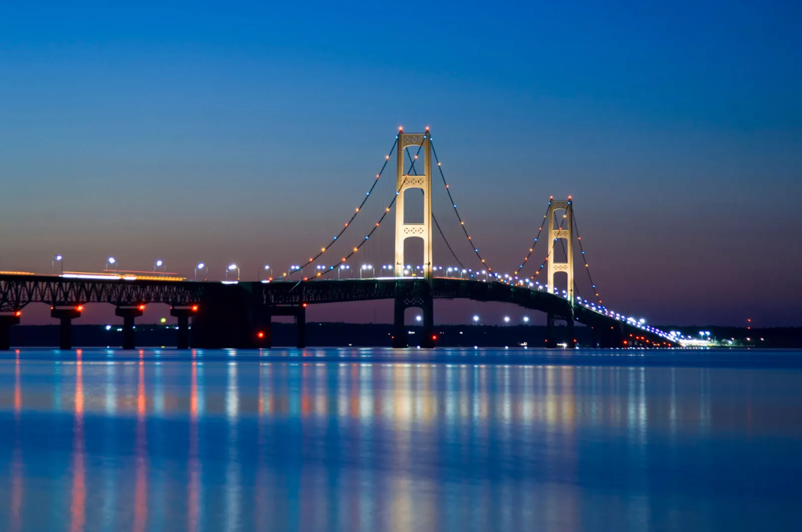 Michigan Initiatives For Action volunteer involvement